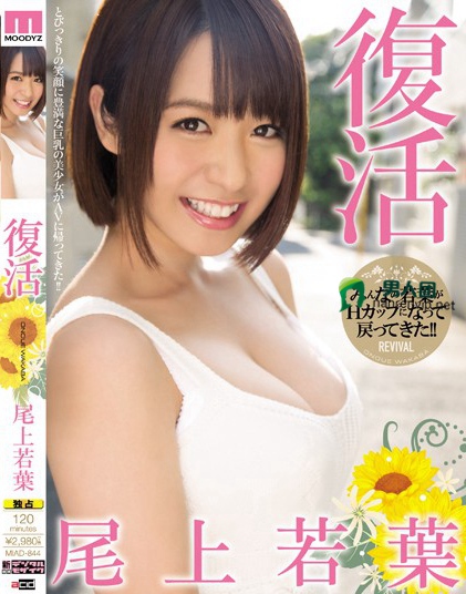 高岛理央